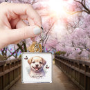 Pesquisar por borboletas chaveiros Inspiração