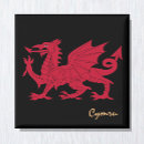 Pesquisar por dragon imas Cymru