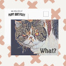 Pesquisar por ironia cartoes Sarcástico