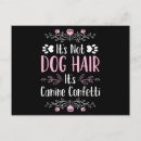 Pesquisar por amigos engraçados cartoes postais Cães