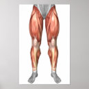 Pesquisar por 3d art pôsteres Vermelho