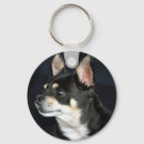 Pesquisar por domesticado chaveiros Cão