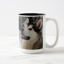Pesquisar por malamute canecas Cães