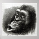 Pesquisar por expressão facial pôsteres Macaco