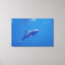 Pesquisar por garrafas impressão de canvas Habitat