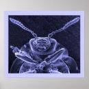 Pesquisar por beetle pôsteres Besouros