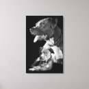 Pesquisar por pitbull impressão de canvas Cachorrinho