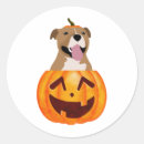 Pesquisar por pitbull adesivos Halloween