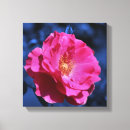 Pesquisar por azul rosa impressão de canvas Natureza