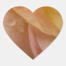 Pesquisar por pétalas rosas adesivos Qualquer pessoa