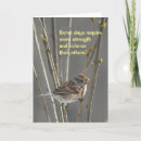 Pesquisar por arbusto cartoes Pensando em você