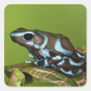 Pesquisar por nativos adesivos Natureza