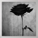 Pesquisar por rosa e preto pôsteres Beleza