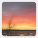 Pesquisar por gelo adesivos Rosa