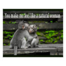 Pesquisar por fotos engraçadas do macaco pôsteres Animal