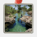 Pesquisar por jamaica ornamentos Ilha
