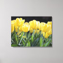 Pesquisar por tulipa amarela impressão de canvas Natureza