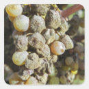 Pesquisar por nobres adesivos Francês