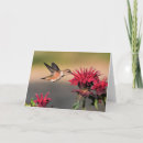 Pesquisar por avermelhado cartoes Pássaro