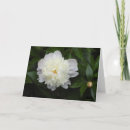 Pesquisar por peony cartoes Família