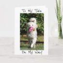 Pesquisar por brothers cartoes Para eles