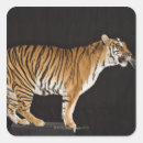 Pesquisar por plataformas adesivos Natureza