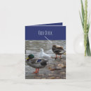 Pesquisar por impar cartoes Pato