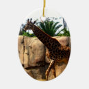 Pesquisar por planeta animal Girafa