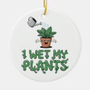 Pesquisar por pote ornamentos Planta