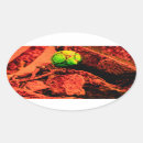 Pesquisar por mosquitos adesivos Natureza