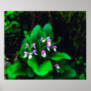 Pesquisar por orquídea azul pósteres pôsteres Brilhante