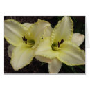 Pesquisar por aliança cartões cartoes postais Floral