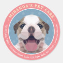 Pesquisar por alvenaria adesivos Cão