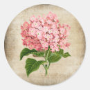 Pesquisar por aglomerado adesivos Aglomerado de flores