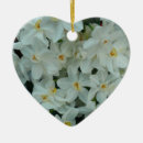 Pesquisar por delicado ornamentos Floral