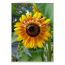 Pesquisar por shana tova cartoes Judaica