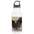 Pesquisar por cavalo garrafa agua Cavalos selvagens