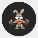 Pesquisar por o bodybuilding adesivos Elevação de peso