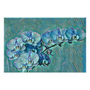 Pesquisar por orquídea azul pósteres pôsteres Floral