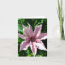 Pesquisar por flor do clematis Videira