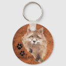 Pesquisar por foxy Aquarela