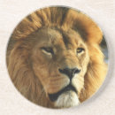 Pesquisar por o leão porta copos Leo
