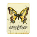 Pesquisar por decorativo imas Flores