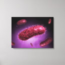 Pesquisar por bactéria impressão de canvas Abundância