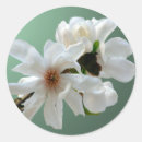 Pesquisar por envelope seal adesivos Verde