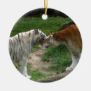 Pesquisar por tiger ornamentos Tigres