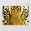 Pesquisar por gato selvagem cartoes postais Natureza