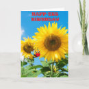 Pesquisar por abelha feliz aniversario cartoes Diversão