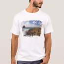 Pesquisar por costa de oregon camisetas Viagem