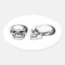 Pesquisar por crânio humano adesivos Anatomia